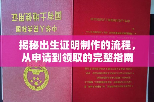 福绵揭秘出生证明制作的流程，从申请到领取的完整指南