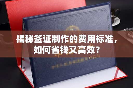 福绵揭秘签证制作的费用标准，如何省钱又高效？