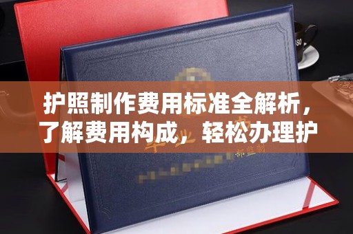 福绵护照制作费用标准全解析，了解费用构成，轻松办理护照